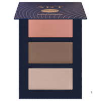Pierre Rene'-Palete Art Contouring Cream 01