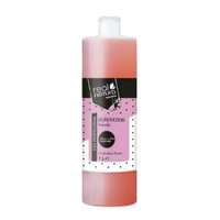 Real Natura Removedor de Verniz 1L