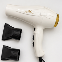 MQ Profissional secador Golden 2600 W Pro para cabelo