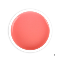 Purple Professional Gel de Construção P1625 Cover Peach 50gr