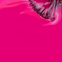 Verniz Gel O Amor É Liberdade 15ml - Inocos