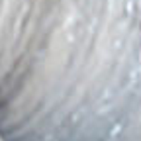 SilverLook — amostra de cor do catálogo oficial