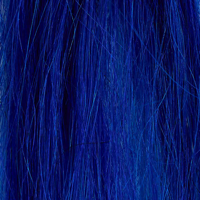 Royal Blue — amostra de cor do catálogo oficial