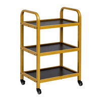 Carrinho Salon Care dourado e preto — vista completa em fundo branco
