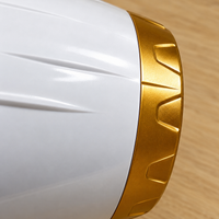 MQ profissional - Secador Golden 2600W Pro — detalhe do produto