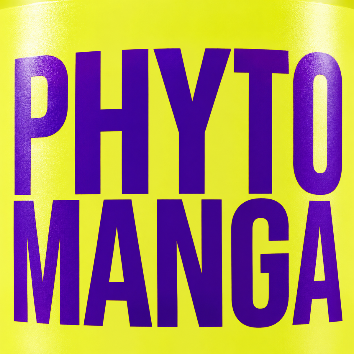 Widi Care Phyto Manga Máscara Nutritiva 300g — detalhe do nome