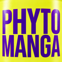 Widi Care Phyto Manga Máscara Nutritiva 300g — detalhe do nome