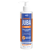 Widi Care Blindando a Juba Champô Antifrizz 300 ml